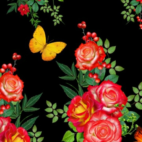 Meet your Posher, Anilnath - Picture 1 of 1